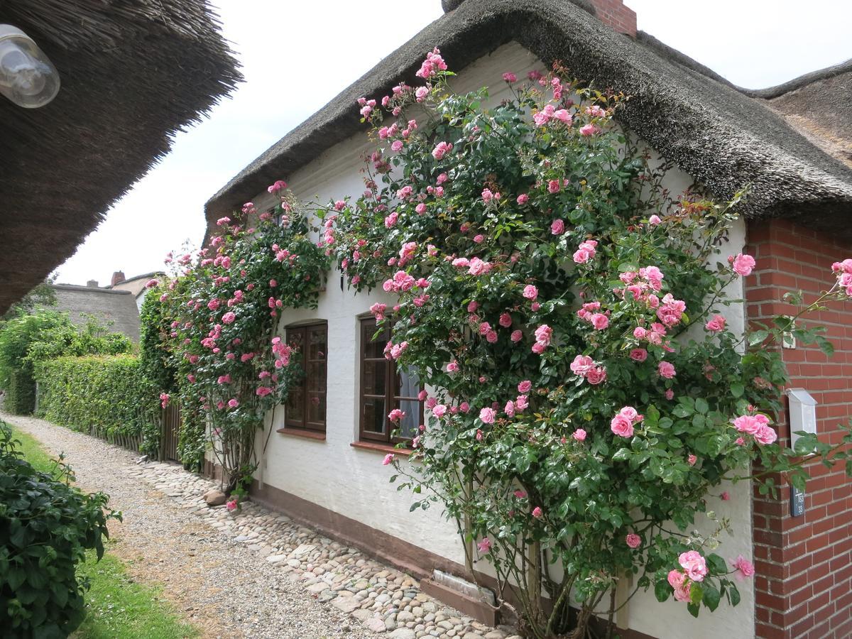 Haus-An-De-Marsch Apartment Midlum  Exterior photo